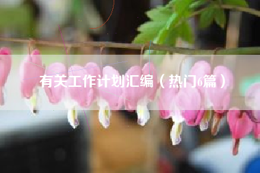 有关工作计划汇编（热门6篇）