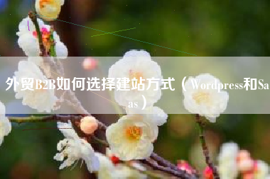 外贸B2B如何选择建站方式（Wordpress和Saas）