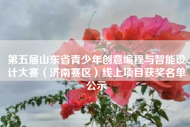 第五届山东省青少年创意编程与智能设计大赛（济南赛区）线上项目获奖名单公示