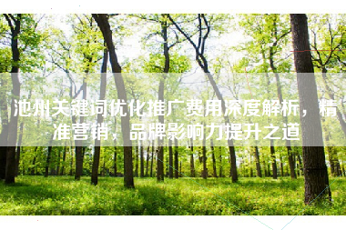 池州关键词优化推广费用深度解析，精准营销，品牌影响力提升之道