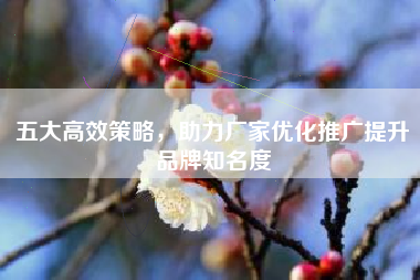 五大高效策略，助力厂家优化推广提升品牌知名度
