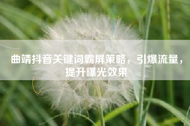 曲靖抖音关键词霸屏策略，引爆流量，提升曝光效果