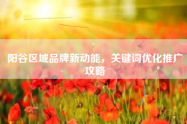 阳谷区域品牌新动能，关键词优化推广攻略