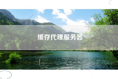 缓存代理服务器