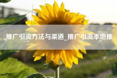 推广引流方法与渠道_推广引流本地推