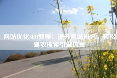 网站优化SEO教程：提升网站排名，轻松驾驭搜索引擎流量