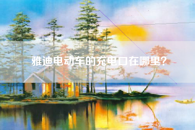 雅迪电动车的充电口在哪里？