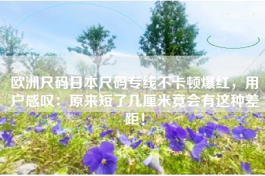 欧洲尺码日本尺码专线不卡顿爆红，用户感叹：原来短了几厘米竟会有这种差距！