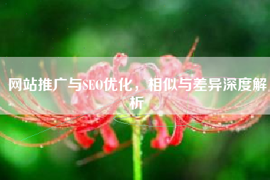 网站推广与SEO优化，相似与差异深度解析
