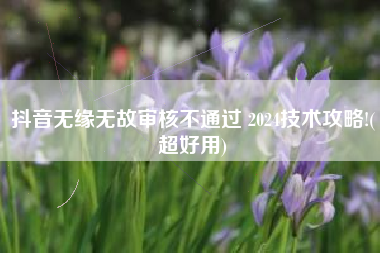 抖音无缘无故审核不通过 2024技术攻略!(超好用)