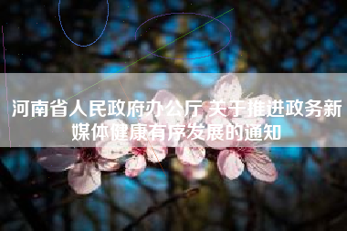 河南省人民政府办公厅 关于推进政务新媒体健康有序发展的通知