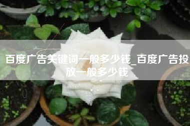 百度广告关键词一般多少钱_百度广告投放一般多少钱