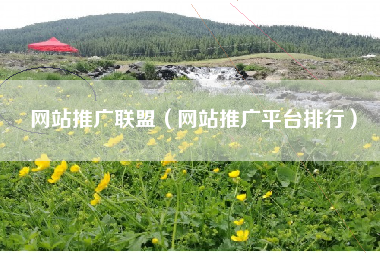 网站推广联盟（网站推广平台排行）