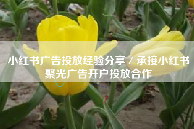 小红书广告投放经验分享／承接小红书聚光广告开户投放合作