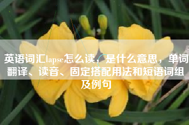 英语词汇lapse怎么读，是什么意思，单词翻译、读音、固定搭配用法和短语词组及例句