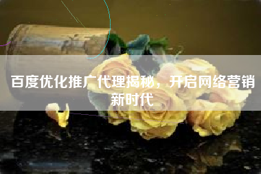 百度优化推广代理揭秘，开启网络营销新时代