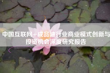 中国互联网+成品油行业商业模式创新与投资机会深度研究报告