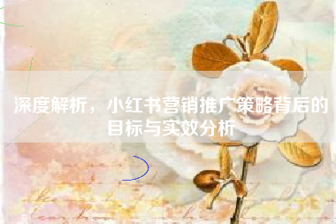 深度解析，小红书营销推广策略背后的目标与实效分析