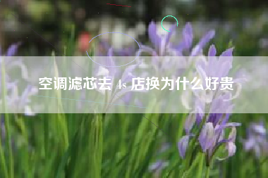 空调滤芯去 4s 店换为什么好贵