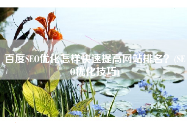 百度SEO优化怎样快速提高网站排名？(SEO优化技巧)