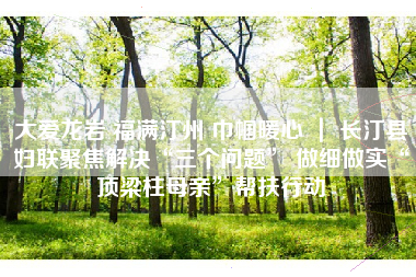 大爱龙岩 福满汀州 巾帼暖心 ｜ 长汀县妇联聚焦解决“三个问题” 做细做实“顶梁柱母亲”帮扶行动