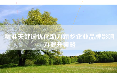 精准关键词优化助力新乡企业品牌影响力提升策略