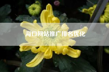 海口网站推广排名优化