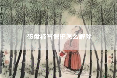 磁盘被写保护怎么解除