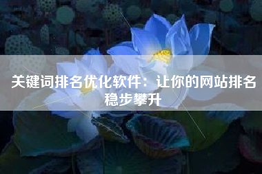 关键词排名优化软件：让你的网站排名稳步攀升