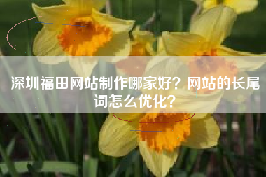 深圳福田网站制作哪家好？网站的长尾词怎么优化？