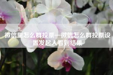微信里怎么群投票—微信怎么群投票设置发起人看到结果