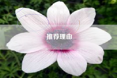 推荐理由