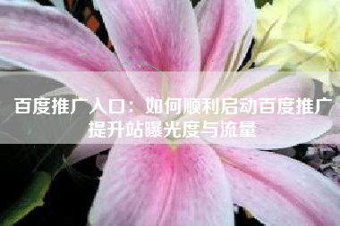 百度推广入口：如何顺利启动百度推广提升站曝光度与流量
