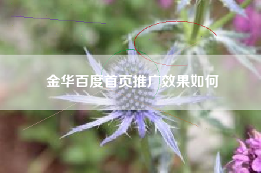 金华百度首页推广效果如何