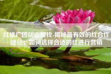 红推广团队去哪找-揭秘最有效的红合作途径：如何选择合适的红进行营销