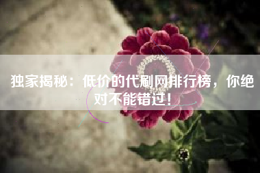 独家揭秘：低价的代刷网排行榜，你绝对不能错过！