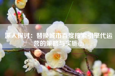 深入探讨：替换城市百度搜索引擎代运营的策略与实施(2)