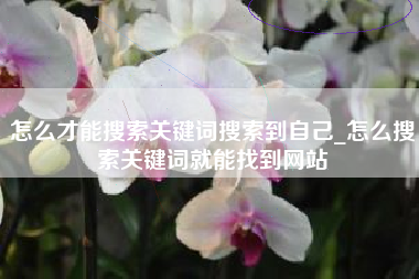 怎么才能搜索关键词搜索到自己_怎么搜索关键词就能找到网站