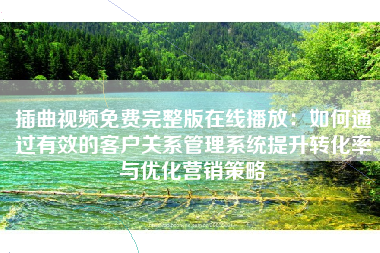 插曲视频免费完整版在线播放：如何通过有效的客户关系管理系统提升转化率与优化营销策略