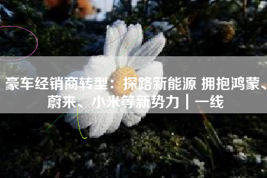 豪车经销商转型：探路新能源 拥抱鸿蒙、蔚来、小米等新势力｜一线