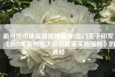 衢州市市场监督管理局等8部门关于印发《2023年衢州市大商贸政策实施细则》的通知