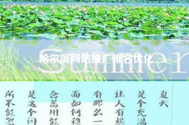 哈尔滨网站推广排名优化