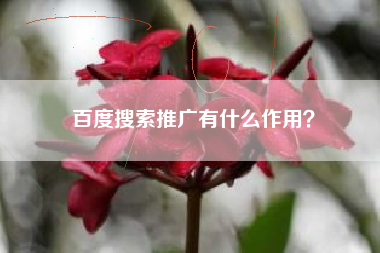 百度搜索推广有什么作用？