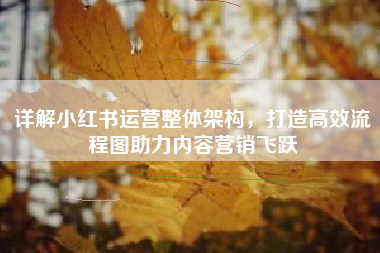 详解小红书运营整体架构，打造高效流程图助力内容营销飞跃