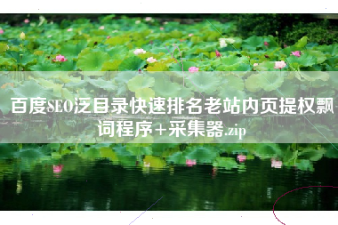 百度SEO泛目录快速排名老站内页提权飘词程序+采集器.zip 百度SEO泛目录快速排名老站内页提权飘词程序+采集器.zip