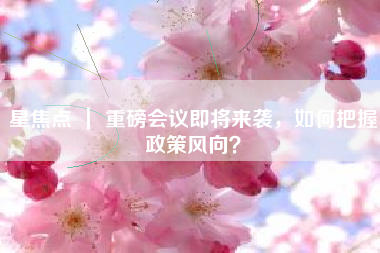 星焦点 ｜ 重磅会议即将来袭，如何把握政策风向？
