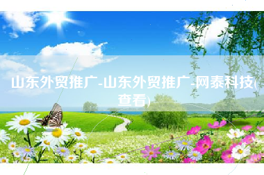 山东外贸推广-山东外贸推广-网泰科技(查看) 山东外贸推广-山东外贸推广-网泰科技(查看)