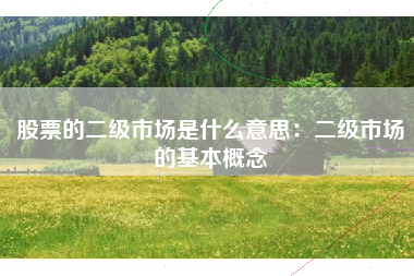 股票的二级市场是什么意思：二级市场的基本概念