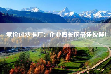 竞价付费推广：企业增长的最佳伙伴！