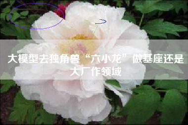 大模型去独角兽“六小龙”做基座还是大厂作领域